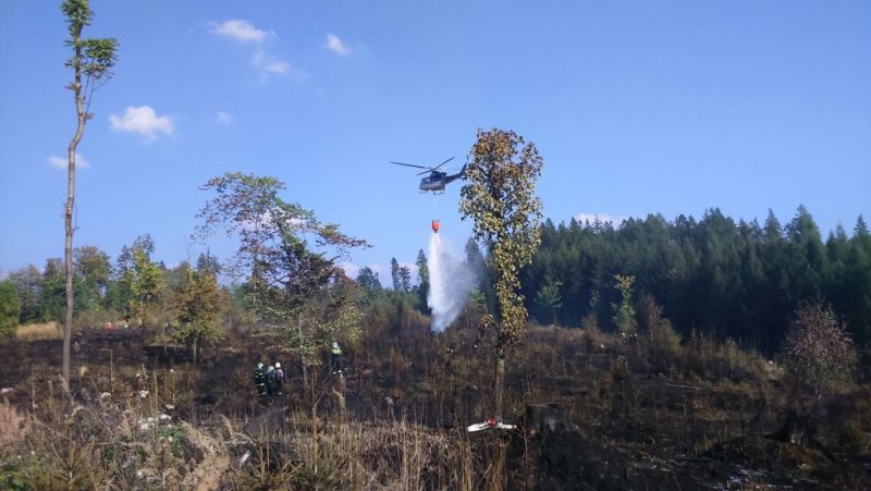 Požár lesa Hrabačov 8