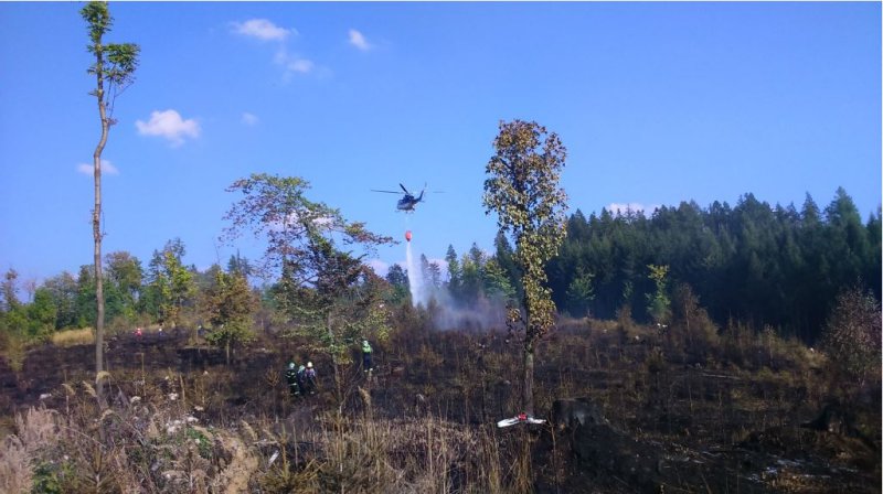 Požár lesa Hrabačov 9