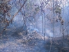 Požár lesa Hrabačov 2