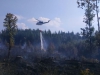 Požár lesa Hrabačov 3