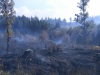 Požár lesa Hrabačov 4