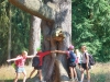 IMG-20260715-WA0052