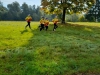 IMG-20251005-WA0009